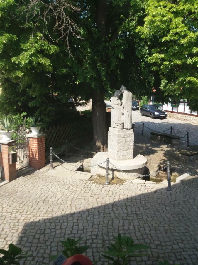 Villa Windschief Thale Buitenkant foto